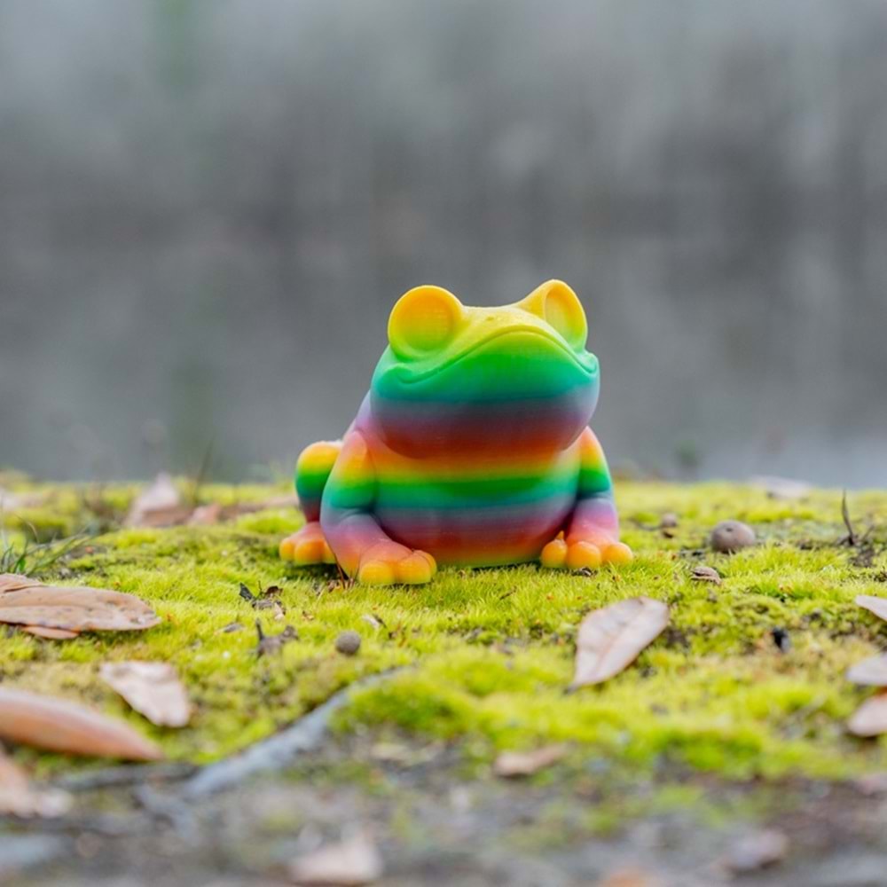Panchroma PLA Gradient Translucent Filament Gökkuşağı