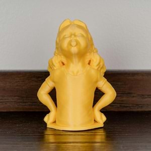 Panchroma PLA Filament Saten Sarı
