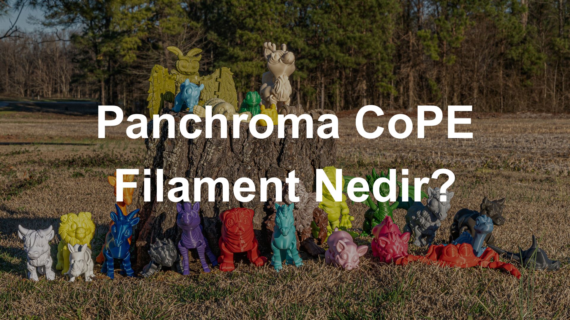 Panchroma CoPE Filament Hakkında Bilgiler